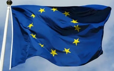 Avropa İttifaqı Gürcüstan hökumətinə təşəkkür məktubu ünvanlayıb