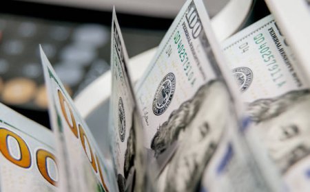 Gürcüstanın valyuta ehtiyatları rekord səviyyəyə çatıb