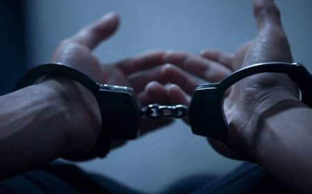 Samir Mehdiyev Gürcüstandan Azərbaycana ekstradisiya olundu