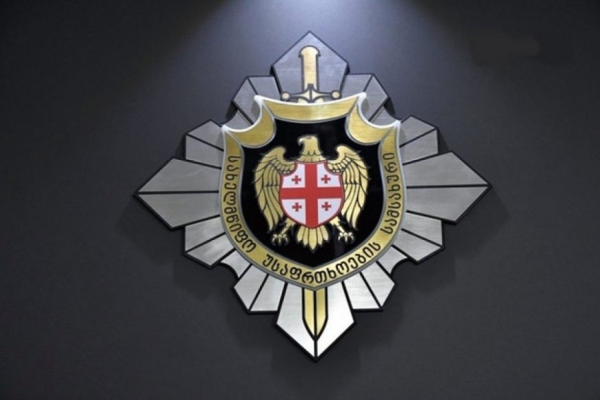 Gürcüstan DTX: Ukraynadan gətirilən partlayıcı maddə ilə bağlı iki versiya var