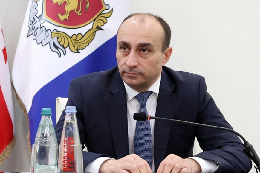 “Rustaveli prospektində saxlanılanların sayı arta bilər”