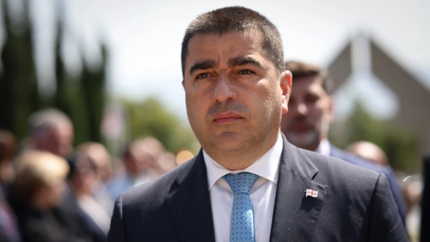 Gürcüstan cəmiyyəti Aİ-dən üzr gözləyir