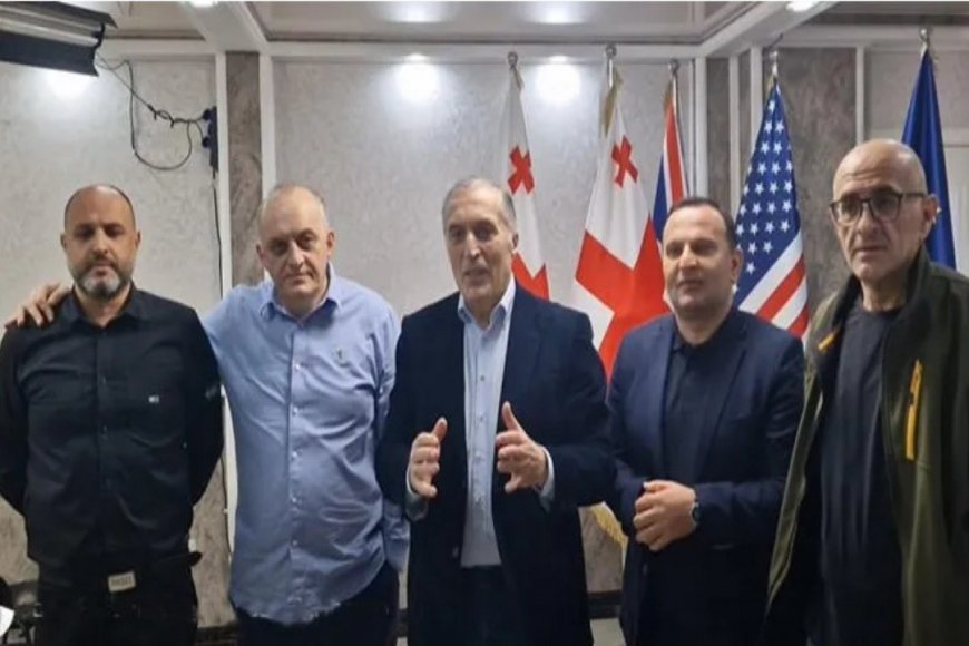 Tbilisidə etiraz aksiyasının təşkilatçılarına ittiham irəli sürülüb