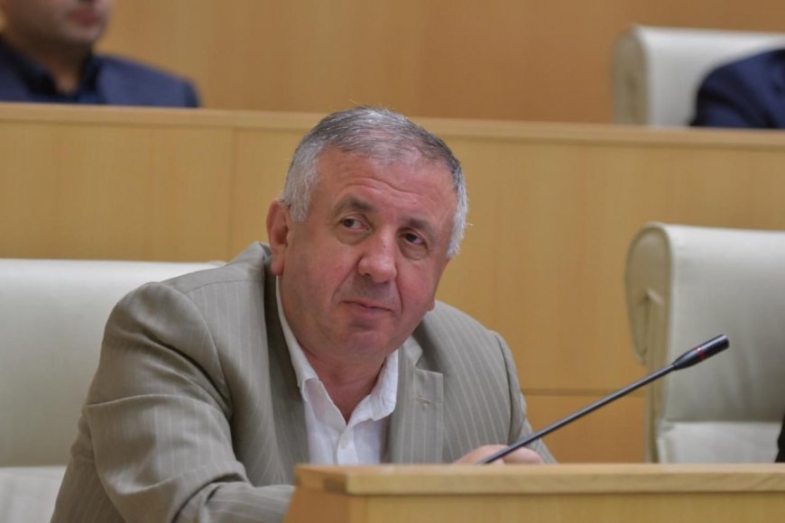 Gürcüstan parlamentində Azərbaycanla dostluq qrupunun üzvlərinin sayı artırılıb