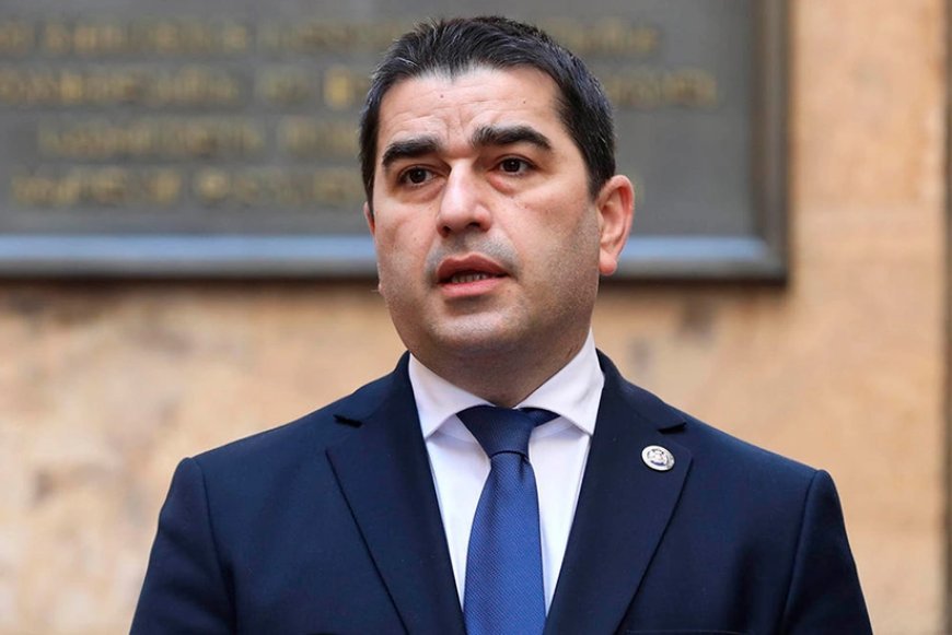 Gürcüstanda dövlət çevrilişi cəhdi ilə bağlı Konstitusiya Məhkəməsinə müraciət ediləcək