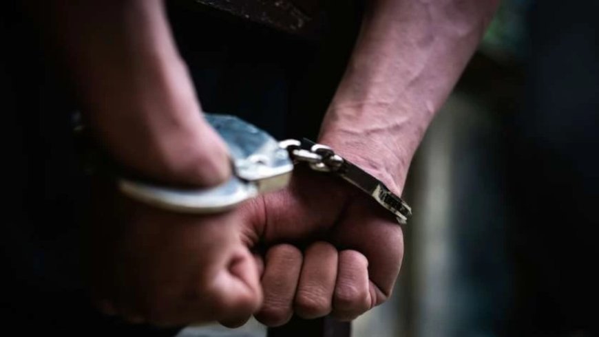 Polis Acarada Dələduzluqda ittiham olunan 2 nəfəri saxlayıb