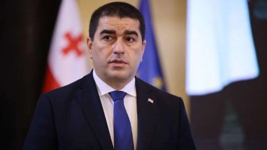 ATƏT sədri Gürcüstan qanunvericiliyini pozub