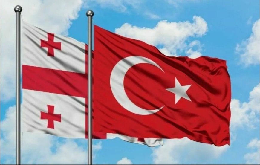 Türkiyə və Gürcüstan səhiyyə sahəsində əməkdaşlıq edəcək