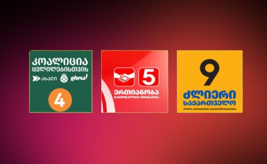 Gürcüstanda üç müxalif partiyanın qadağası ilə bağlı prosedura başlanılır