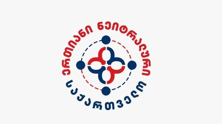 Gürcüstanın anti-qərb hərəkatı partiyaya çevrilib