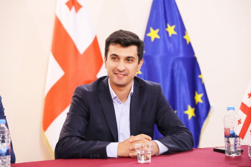 Gürcüstanın azərbaycanlı meri vəzifəsinin icrasına başlayıb