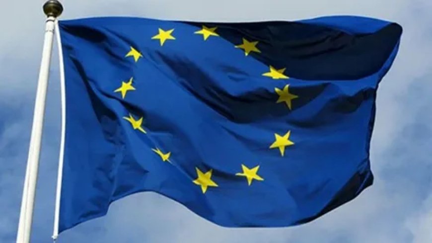 Avropa İttifaqı Gürcüstan hökumətinə təşəkkür məktubu ünvanlayıb