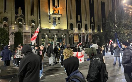 Tbilisidə son beş gündə 29 etirazçı saxlanılıb