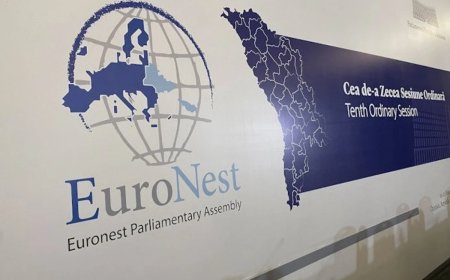 Gürcüstan Avronest PA-da iştirakını dayandırıb