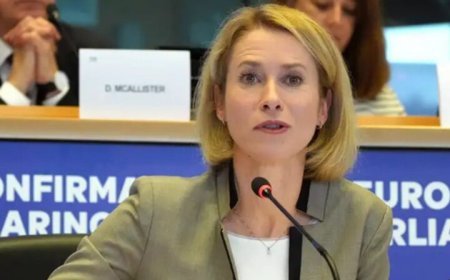 Gürcüstanda dinc nümayişçilərlə zorakı davrananlara qarşı sanksiya tətbiq etməyə çalışırıq