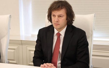 Kobaxidze Avropa Komissiyasını ikili standartlarda ittiham edib