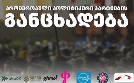 Gürcüstanın 7 müxalif partiyası birləşmək qərarı verib