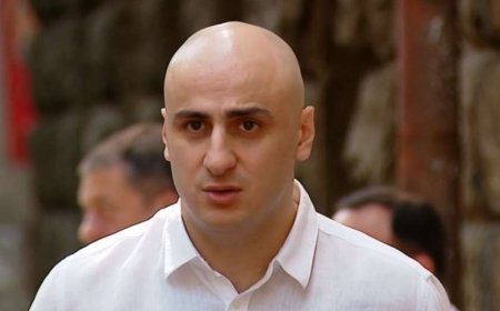 Lisi gölü yaxınlığında baş verən hadisə ilə bağlı Nika Melia cərimələnib