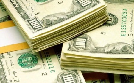 12 noyabr xarici valyutaların məzənnələri