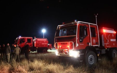 Gürcüstanın daxili işlər naziri  türk hərbi təyyarəsinin qəzaya uğradığı əraziyə getdi