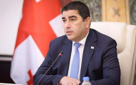 Avropa Komissiyası Gürcüstanla dialoqu deyil, qarşıdurmanı seçir