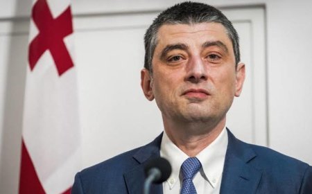 Prokurorluq sabiq baş nazir Giorgi Qaxariyaya qarşı cinayət təqibinə başlayıb.