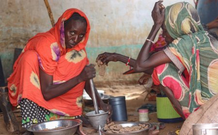 BMT-nin yeni hesabatı: Aclıq təhlükəsi dünyada milyonlarla insanın həyatını təhdid edir