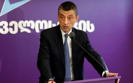 Gürcüstanın keçmiş baş naziri həbs edildi