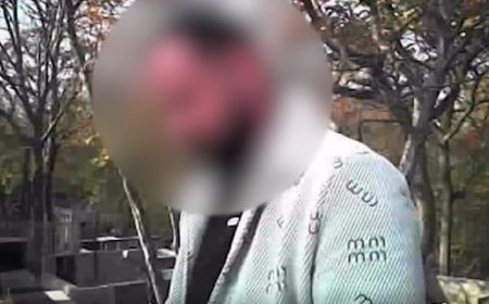 DTX: Tbilisi meriyasının əməkdaşı həbs olundu