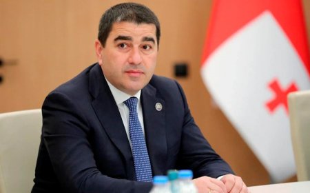 Gürcüstan vətəndaşları xaricdə parlament seçkilərində səs verə bilməyəcəklər