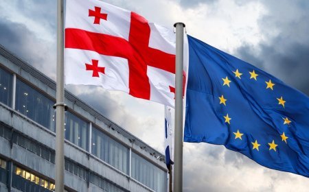 Aİ Gürcüstanla insan hüquqlarına dair illik görüşü qeyri-müəyyən müddətə təxirə salıb