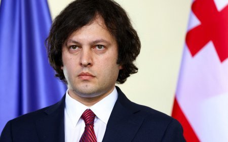 Kobaxidze Aİ ilə Gürcüstan arasında vizasız rejimin ləğv ediləcəyini gözləmir