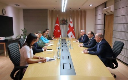 Gürcüstanın daxili işlər naziri türkiyəli generalla təyyarə qəzasını müzakirə edib