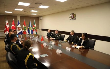 Gürcüstanın sərhəd polisləri NATO əməliyyatı çərçivəsində Türkiyə hərbi gəmilərində yerləşdiriləcək