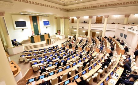 Parlament biznes-ombudsmanın aparatının ləğvini birinci oxunuşda dəstəkləyib