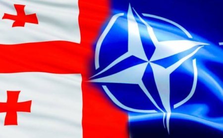 Tbilisi NATO-nu Gürcüstanla bağlı siyasi iradəsizlikdə günahlandırıb
