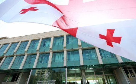 Gürcüstan Dövlət Təhlükəsizlik Xidməti  bəyanat yayıb