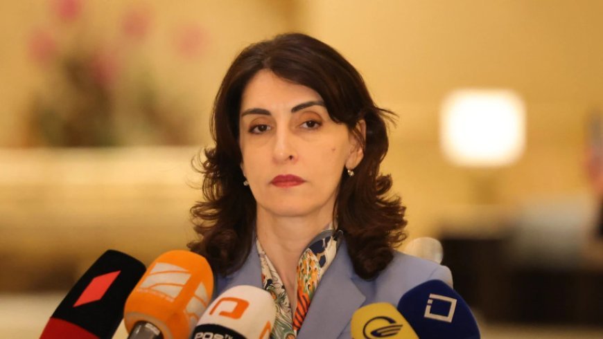 "Avronest" gürcü xalqına istiqamət göstərə bilməz