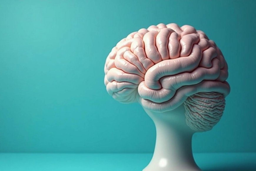 Dünyanın ən ağıllı ölkələri açıqlandı