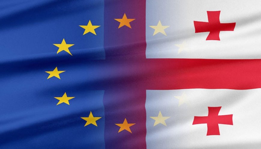 Aİ-yə üzvlük prosesinin dayandırılmasında Gürcüstan günahkar deyil