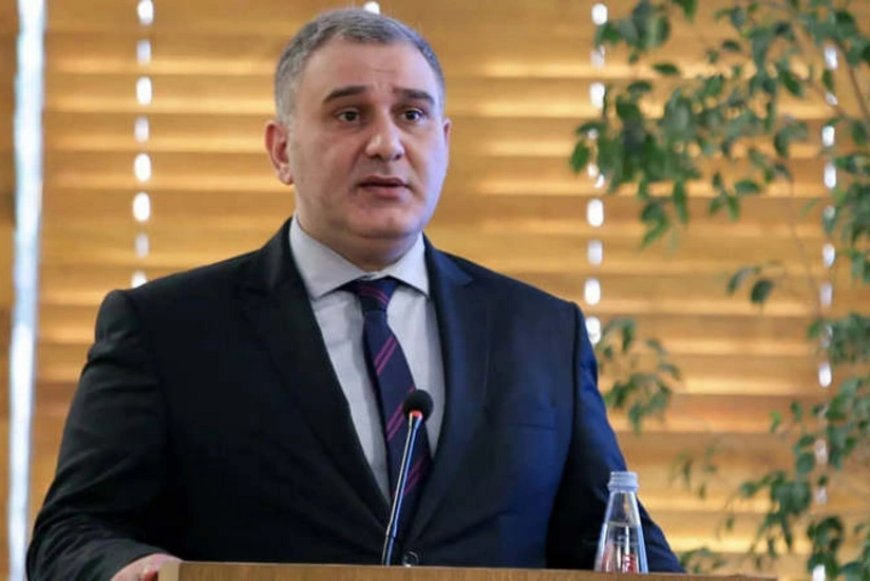 Saakaşvilinin həbsxanaya qaytarılması tamamilə düzgün qərardır