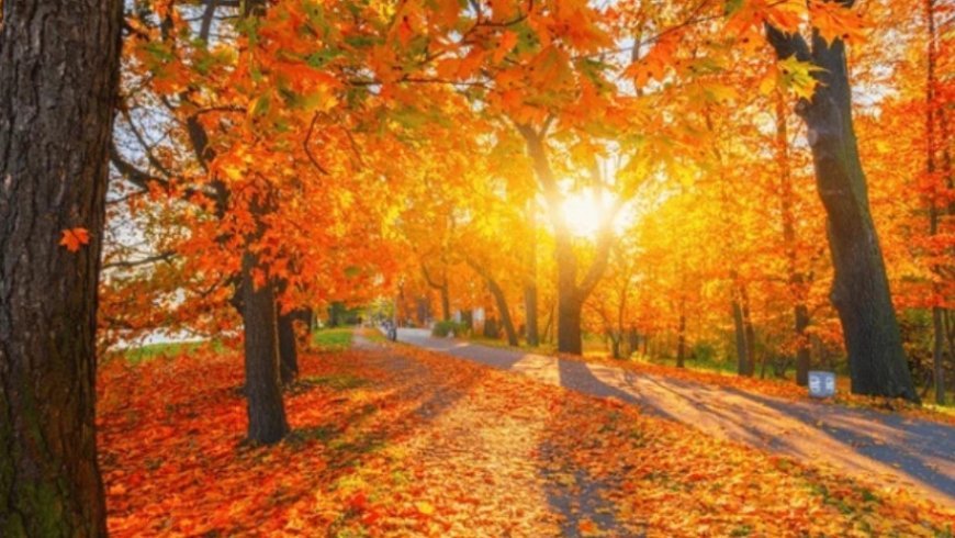 18-21 noyabrda Gürcüstanda hava proqnozu