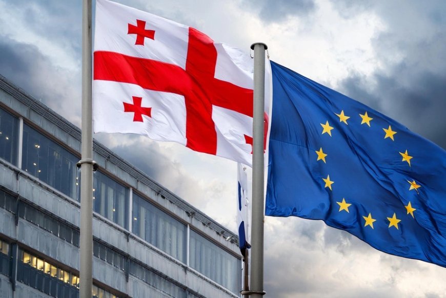 Aİ Gürcüstanla insan hüquqlarına dair illik görüşü qeyri-müəyyən müddətə təxirə salıb