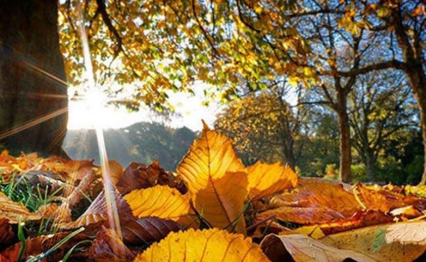 Gürcüstanda növbəti 3 günün hava proqnozu