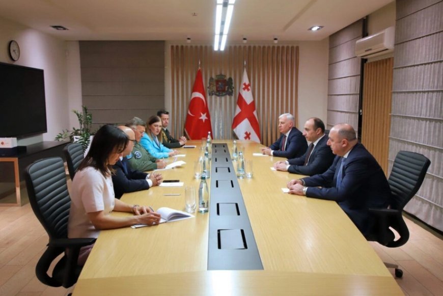 Gürcüstanın daxili işlər naziri türkiyəli generalla təyyarə qəzasını müzakirə edib
