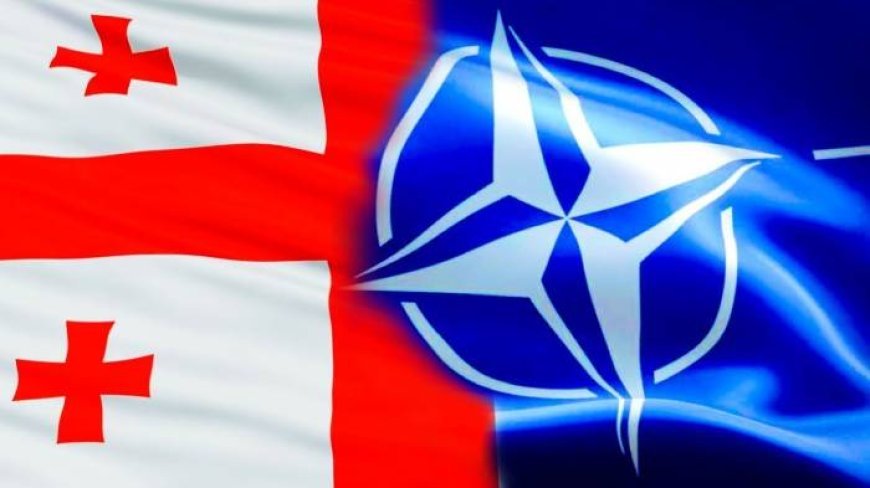 Tbilisi NATO-nu Gürcüstanla bağlı siyasi iradəsizlikdə günahlandırıb