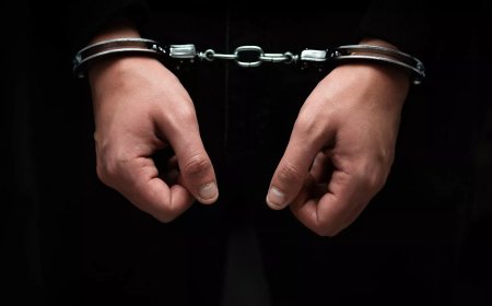 Gürcüstanın qərbində odlu silah və döyüş sursatları ələ keçirildi-iki nəfər saxlanıldı