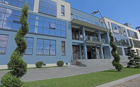 Gürcüstanda yeni universitet mərkəzləri inşa ediləcək