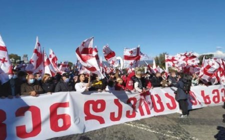 Tbilisidəki aksiyaları Aİ–Gürcüstan münasibətlərində maraqlı olmayan qüvvələr təşkil edir