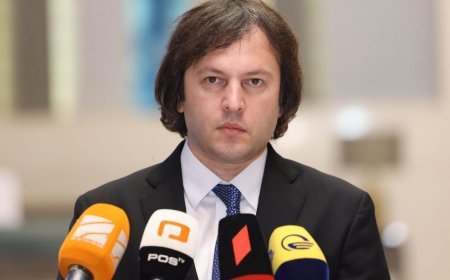 Gürcüstan öz ərazi bütövlüyü məsələsində güzəştə getməyəcək